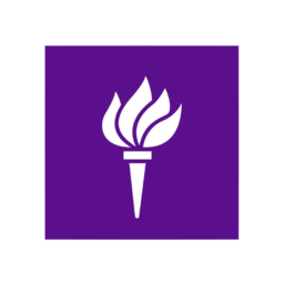 New York University